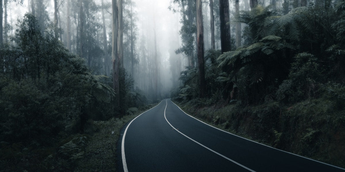 Forest & road - The Sun Waits - Australia Soy Candles & Wax Melts